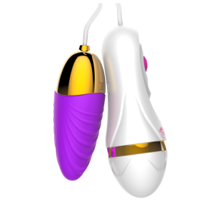 Fjernbetjent sexleget&oslash;j