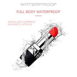 My private lipstick - sort/s�lv