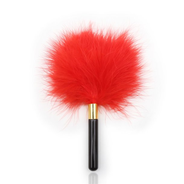 SM-s�t for beginners, red