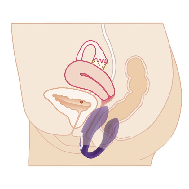 Dobbelt vibrator vagina+anal vibes