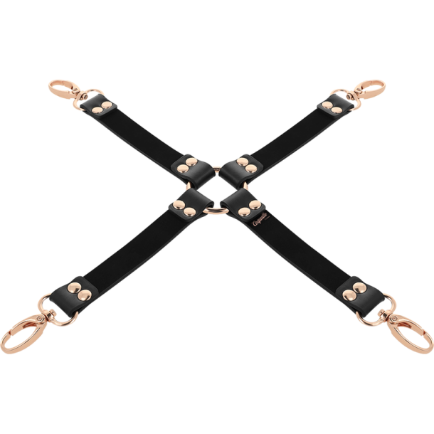 Coquette Chic Desire fantasy vegansk l�der hog tie