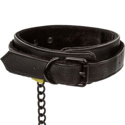 Calex collar og snor