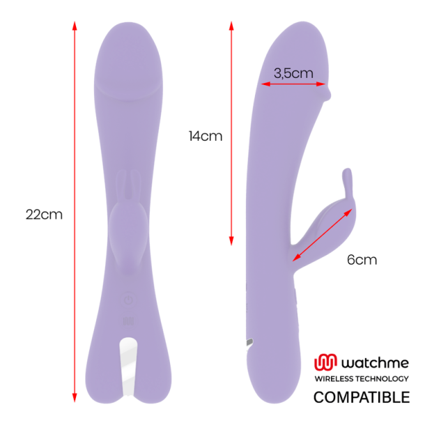 MR boss aitor rabbit watchme wireless