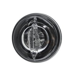 Baile rotation lover til ham