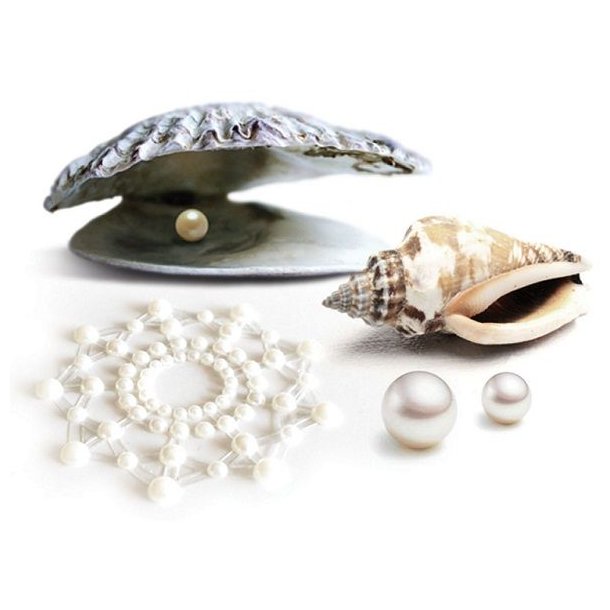 Bijoux Mimi nipplecovers pearldesign 2 stk 