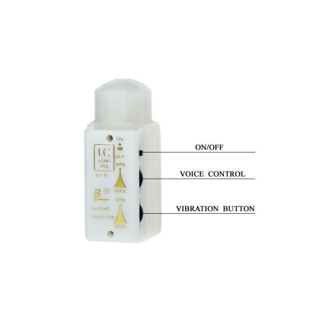 Baile mr. big personal lover