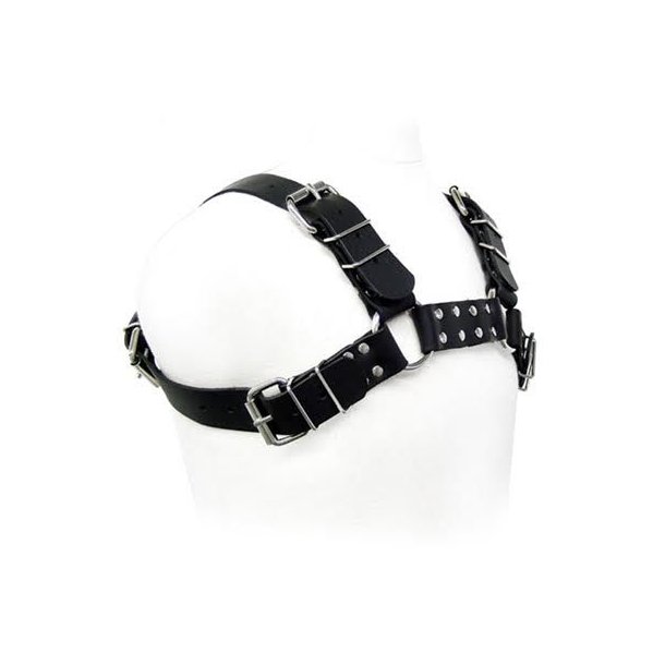 Leather Body sort tyr hund harness 