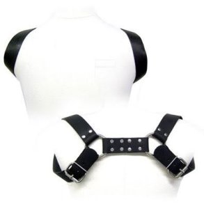 Leather Body hylster harness 