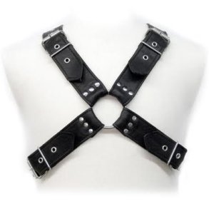 Leather Body sp�nder harness 