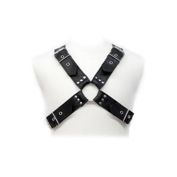 Leather Body sp�nder harness 