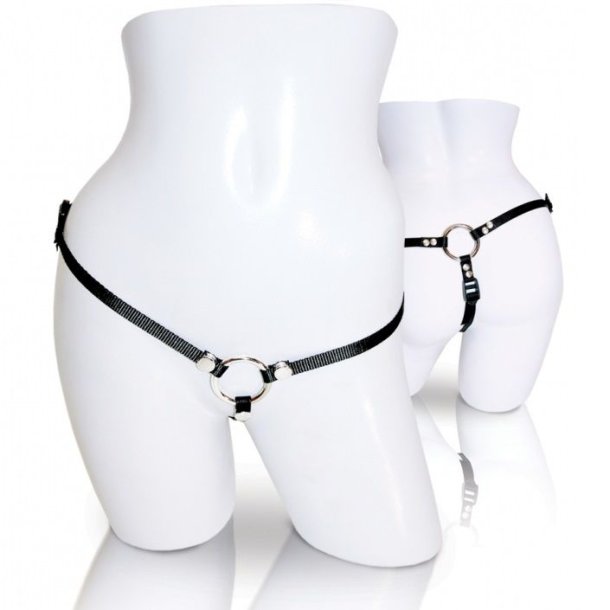 Sportsheets strap-on if you dare