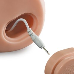 PDX male interaktiv fuck my cock