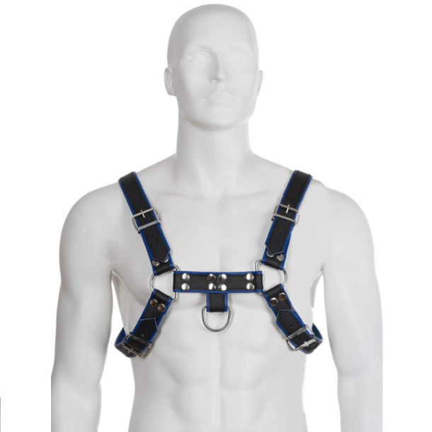 Leather Body bryst bulldog harness sort/bl�t l�der