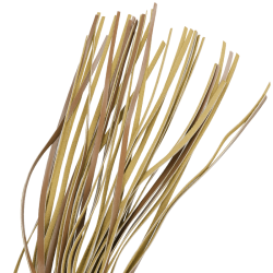 Fetish Submissive flogger vegansk l�der