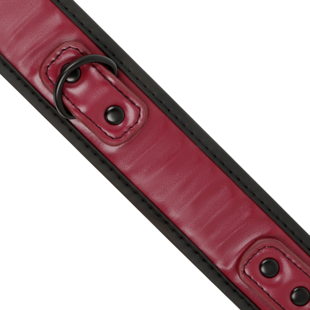 Fetish Submissive dark room collar med snor