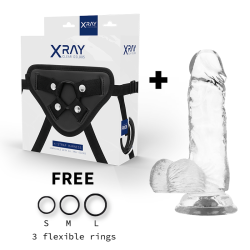 XRAY harness + transparent penis med kugler 15,5cm x 3,5cm
