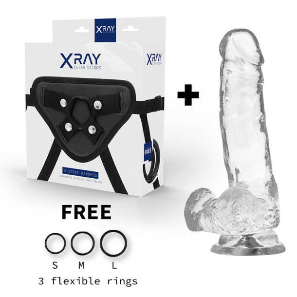 XRAY harness + transparent penis med kugler 18,5cm x 3,8cm
