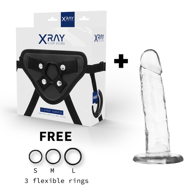 XRAY harness + transparent penis 18cm x 4cm