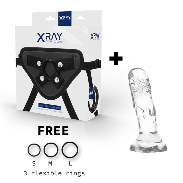 XRAY harness + transparent penis 12cm x 2,6cm