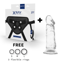 XRAY harness + transparent penis 16,5cm x 4cm