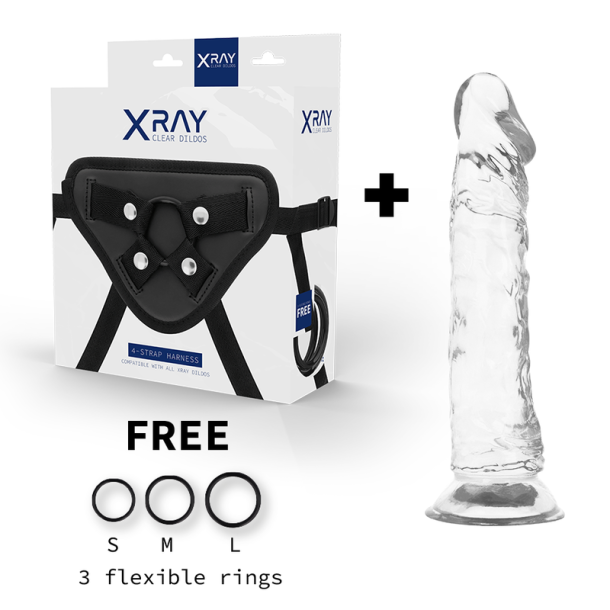 XRAY harness + transparent penis 21cm x 4cm
